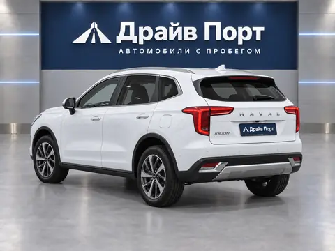 Haval Jolion 2024, вид сзади