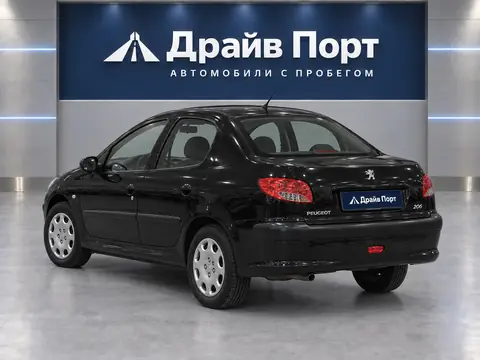 Peugeot 206 2009, вид сзади